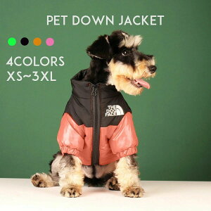   ~  g H~ h _EWPbg t@Xi[ ₷  hbOEFA ^ ^ ~ U  IV ȒPE AE^[ hbOtFCX THE DOG FACE j