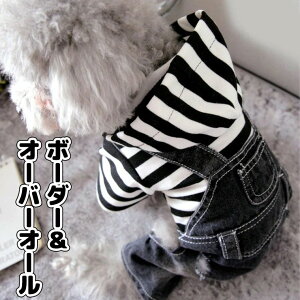 XS-2XLTCY {[_[p[J[t fjI[o[I[ t[ht p[J[ ybg  L ^ ^ ՂhbOEFA ^ LOBe