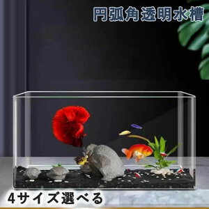  ȃAN ~ʊp pې pԑ fXNgbv ANAE ƒpgfB Vv RpNg ƒp