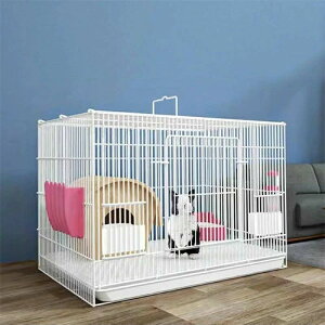  P[W og[ ybgP[W ̃XbLP[W ܂肽ݎ LbgP[W   bg  P[W [P[W P[W nEX 