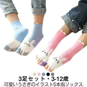 C 3 3g  ̎q j̎q qp 5{wC  N[   5{w\bNX LbY C 3Zbg