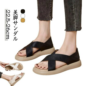 g K JWAV[Y T_ T_ T_ Od fB[X ubN yʐ݌v ~ L ʋC lԍHw t  EH[LOV[Y ₷ 傫T