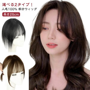 頭頂部用部分ウィッグ BT-02 Mサイズ 人毛100％ 総手植え ヘアピース トップ 薄毛 つむじカバー 前髪 分け目 白髪隠し メンズ ナチュラル  つけ毛 前髪 部分ウィッグ つむじ付き ヘアピース 医療用 女性用 頭頂部 人毛100 ウイッグ かつら カツラ 超リアル 人工皮膚 白髪