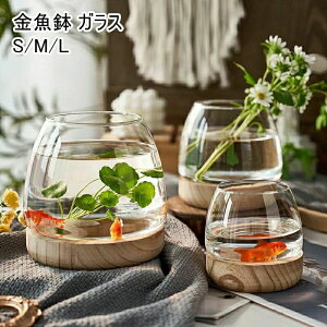  KX     _J 琅 _J ϗtA CeA _J e e[u ANAE {E | e  _Je ^ _J甫 