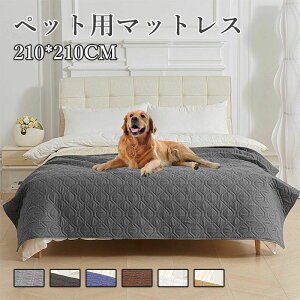 ybg p h h }bg  R h~ \t@ }bg xbh }bg ی Jo[  \ i f  L Ή ~ t V[c \t@ AEghA hCu }bg V[g