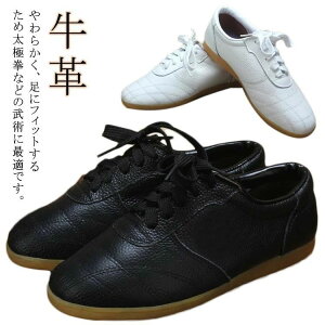 ɌV[Y C \tgU[ Jt[ v Ɍ p \ eRh[ Xj[J[  Jt[pC {v V[Y X|[cXj[J[ zCg EFA