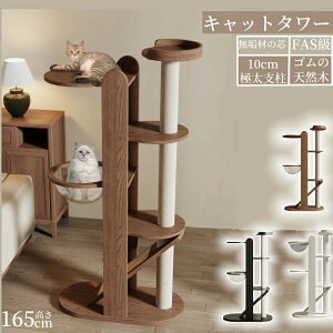 Lbg^[ X ^Lp L^[   킢 CeA u R ܂Ƃ  RpNg ȃXy[X lC ^s |h~ 165CM