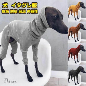 ybg  C^O z M R hL p[X t[X Lт  ~   y  ۉ Lk C^AO[nEh ₷  ~js ~j`As