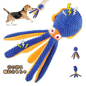   ނ ̂ o  ̏o邨 v ^Ř` p  ʂ ^   ϋv ^ ybg ŗV 