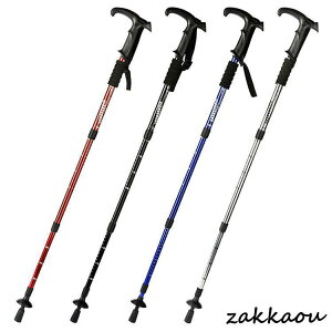 2{Zbg gbLO|[ oRXebL XgbN y A~ RpNg ܂ T^Obv 4i oRp y EH[LO|[ oR