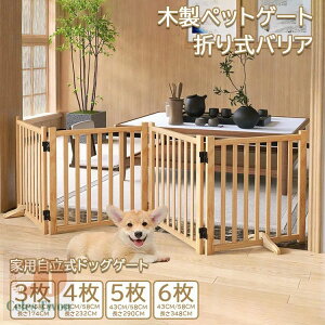 ؐybgQ[gƗphbOQ[g ˌ/Ki/ؐybgpƋhbOtFX ܂莮oA ybgQ[g ybg T[N ybgtFX u    Q[gؐ ܂肽