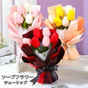 4FWJ@V{t[ ԑ Mtg \[vt[ \[vt[ ސEj a hV̓ ӏ ԑ AWg  Ђ܂ `[bv u[P  ͂Ȃ v[