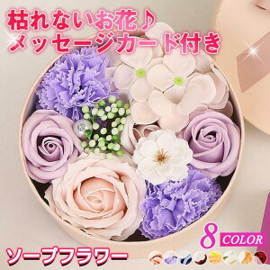 \[vt[ ԑ Mtg u[P ԑ   {bNX o Cxg ̓ v[g