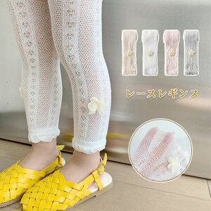 MXpc LbY xr[MXpc MX ̎q xr[ [X^Cc LbY ԃ^Cc ԃ`[t qhXp ̎q tH[} \  w XgbLO Lb