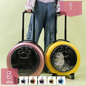 2000~ ybg L[obO LX^[t L[J[g  nhL[ ybgL ybgJ[g  s  ЊQ ybgpi    ybgL[ 