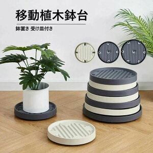 Aؔ tړԑ  u t[X^h u LX^[ v^[pM g[ v[g 360°]LX^[t   u A ԑ  |