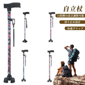 fB[X   l_    p    y  Lk s⏕ Lk  ԕ 11iK nr fB[X XebL hV̓  a v[g 