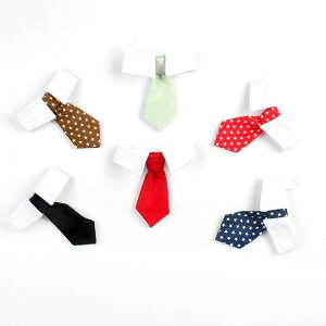 lN^C ybgpi ybgObY `[J[  Ck hbN L lR  Lbg ߉ ݕt  X^[  XgCv U EH[LO  lN^C X[c L ^p 