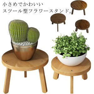 �ی^ ���A�� �u���� ���� �X�c�[���^ �ԑ� �A���� �t�����[�X�^���h �|�� �ϗt�A�� �A�ؔ��u�� ���� ���� ���^ ���| ���X�^���h ���킢�� �k�� �C���e���A ��̓� �a����