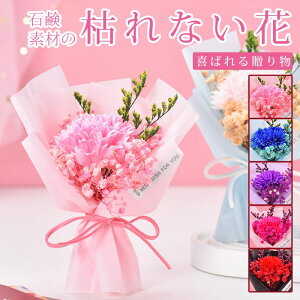 �y���������z�J�[�l�[�V���� �~�j�u�[�P ��̓��v���[���g �\�[�v�t�����[ �~�j�ԑ� �\�[�v�t�����[ �͂�Ȃ��� �� ���� �Ό��� �v���[���g �M�t�g �a���� ���蕨 �����L�O�� �ސE�j�� ����