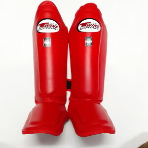 TWINS SPECIAL bOK[h  /{v/{NVO/G^C/LbN/cCY/lp