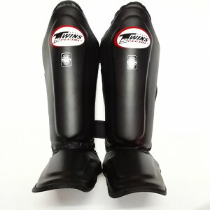 TWINS SPECIAL ���b�O�K�[�h �� /�{�v��/�{�N�V���O/���G�^�C/�L�b�N/�c�C���Y/��l�p