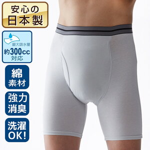 jp փpc gNX d 300cc M L LL O[ RۏL pA zV[c AR ˂  Rbg ̓  Spc am am  g