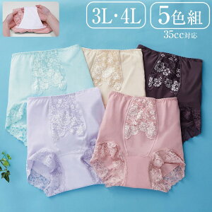 [5g 3LA4L] p ؂₩[Xg SV[c [ 1 35cc 5FZbg 傫TCY 3L 4L sN x[W {h[ fB[X pA y zV[c AR փpc 