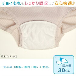 婦人日本製スピード吸収&消臭安心ショーツふんわりマイクロキルトノーマル丈タイプ2色組30cc対応