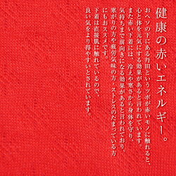 プレゼントに喜ばれる縁起物日本製綿100%健康長寿フクロウ刺繍入り赤パンツ