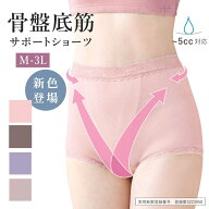 骨盤底筋 サポート ショーツ 吸水帯 5cc対応 クロスで引き上げ M L LL 3L 大きいサイズ 産後 女性用 吸水…