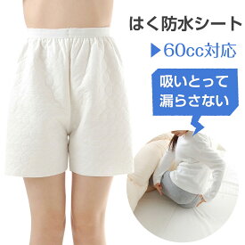 はく 防水シート 吸いとって漏らさない オーバーパンツ 60cc対応 内側吸水 外側防水 M L LL 男女兼用 防水シーツ すいとるオムツコート