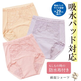 3色組 レース付き 吸水パッド 対応ショーツ 綿95％ パッドがキレイにおさまる M L LL / 吸水パッド用 吸水パッド専用 失禁 尿漏れ 尿モレ 尿もれ コットン 綿混