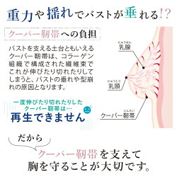 クーパー靭帯