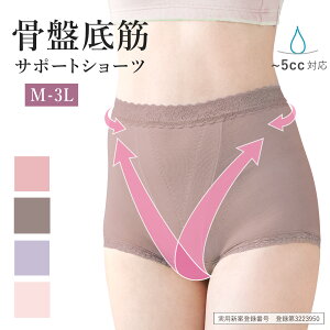 Ւ T|[g V[c z 5ccΉ NXňグ M L LL 3L 傫TCY Y p zpbht  PA  Rbg z  AR p[lbg K 