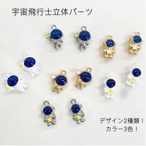 Fsm3D̃p[c Fp[c 킢 ANZT[p[c nhCh f DIY 