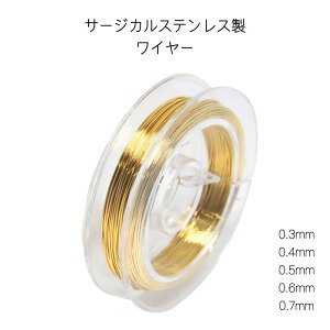 SI316LT[WJXeX 18KGP C[ ANZT[p ANZT[C[ ANZT[p[c nhCh Ntg DIY | f ޗ 10m 0.3mm 0.4mm 0.5mm 0.6mm 0.7mm S[