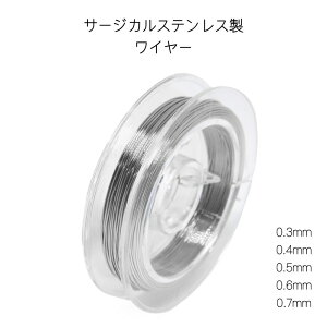 316LT[WJXeX C[ ANZT[p ANZT[C[ ANZT[p[c nhCh Ntg DIY | f ޗ 10m 0.3mm 0.4mm 0.5mm 0.6mm 0.7mm Vo[ AM[