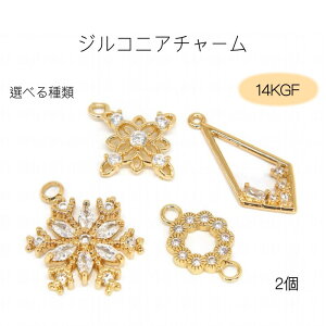 14KGF i WRjA `[ ^`[ Jt J ANZT[p[c nhCh f ̌ Eh  Ђ` S[h 킢 2