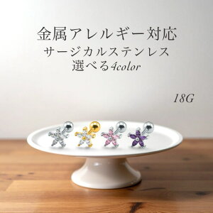 yzy Ў z{fBsAX  AM[Ή KтȂsAX y5AWRjAznCAWG[  킢 _utFCX Xg[go[x sAX