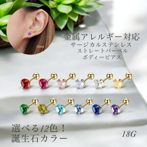 yЎzIׂa΃J[ {fBsAX sAX T[WJXeX 1sAX 1|CgsAX Vv 킢  t@bV Xg[go[x 5mm S[h 18G 