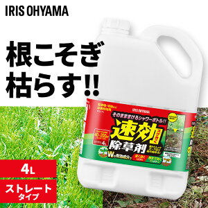 ������ 4L ���� ���� �t�� ��_�k�n�p ���͂炵 �G���΍� �K�[�f�j���O ���|�p�i �� ����� �G�� �� �X�g���[�g�^�C�v �V�����[ ���������� WSJ-4L �A�C���X�I�[���} *