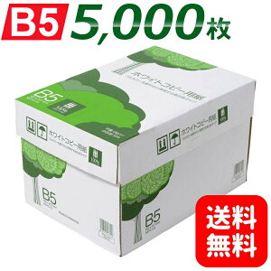 コピー用紙 B5 5000枚 APP 高白色 ホワイトコピー用紙 B5 白色度93% 紙厚0.09mm 5000枚(500枚×10冊) 送料無料 WC914PEIコピー用紙 B5 ホワイトコピー用紙 コピー 用紙 印刷用紙 白色度93% 紙厚0.09mm 高