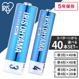 ＼1000円ポッキリ！／ 乾電池 単3 単三 単4 単四 電池 送料無料 BIGCAPA basic 単3×40本or単4×40本or単3×24本＋単4×20本 LR6Bb／4P LR03Bb／4P 3LR6Bb/12P 5年保存 アルカリ 電池 乾電池 電池【代金引換不可・日時指定不可】 【メール便】