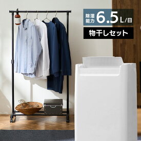 【物干しセットが選べる】＼梅雨対策／除湿機 コンプレッサー アイリスオーヤマ コンパクト 除湿器 小型 16畳 角度調整 1.8L メーカー1年保証 コンプレッサー式 衣類乾燥機 節電 省エネ 部屋干し 衣類乾燥除湿機 タイマー DCE-6515