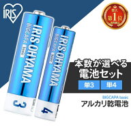 ＼1000円ポッキリ／【選べる40本セット】40本 乾電池 単3 単三 単4 単四 電池 BIGCAPA basic 40本セット …