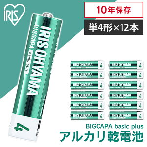  BIGCAPA basic{ P4`AJdr12{pbN LR03Bbp/12S  dr AJdr P4 P4` Pl Pl` dr obe[ 12{ ACXI[}y[ցz yE