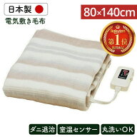 ＼丸洗いOK！／ 電気毛布 洗える 80×140cm 電気敷毛布 NA-023S敷毛布 電気 毛布 電気敷き毛布 電気しき…