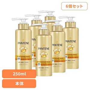 【6個セット】ヘアケア ボディケア ヘアケア パンテーン エクストラダメージリペア インテンシブヴィタミルク 特大サイズ パンテーン P&G エクストラダメージリペア 洗い流さないトリート