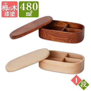 弁当箱 曲げわっぱ 480ml 木製曲げわっぱ 一段 くりぬき 長方形 バンド付き 弁当箱 BDH011A・BDH011T 弁当 弁当箱 お弁当 お弁当箱 曲げわっぱ 曲わっぱ まげわっぱ マゲワッパ キッチン用品 木目
